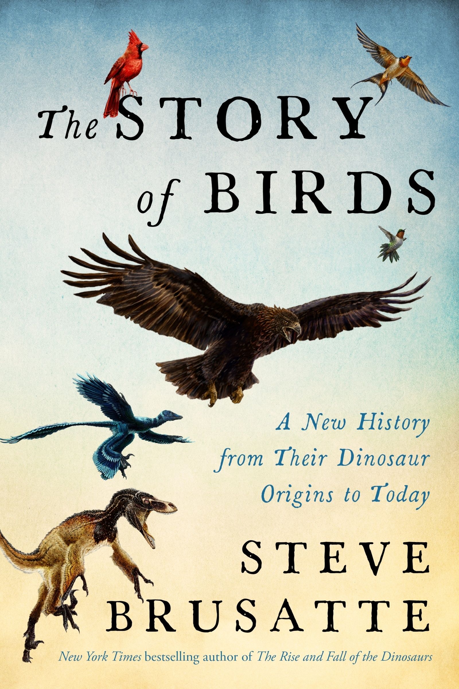 The Story of Birds