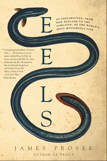Eels by James Prosek