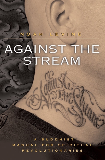 Against the Stream by Noah Levine
