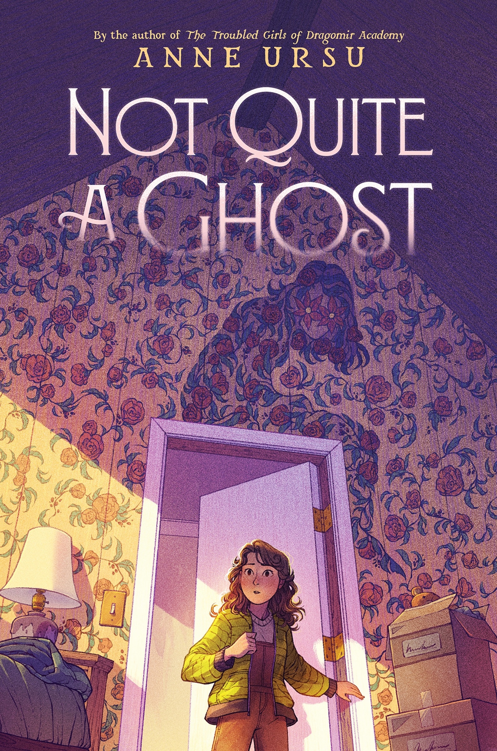 Not Quite a Ghost by Anne Ursu