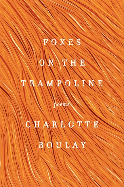 Foxes on the Trampoline by Charlotte Boulay