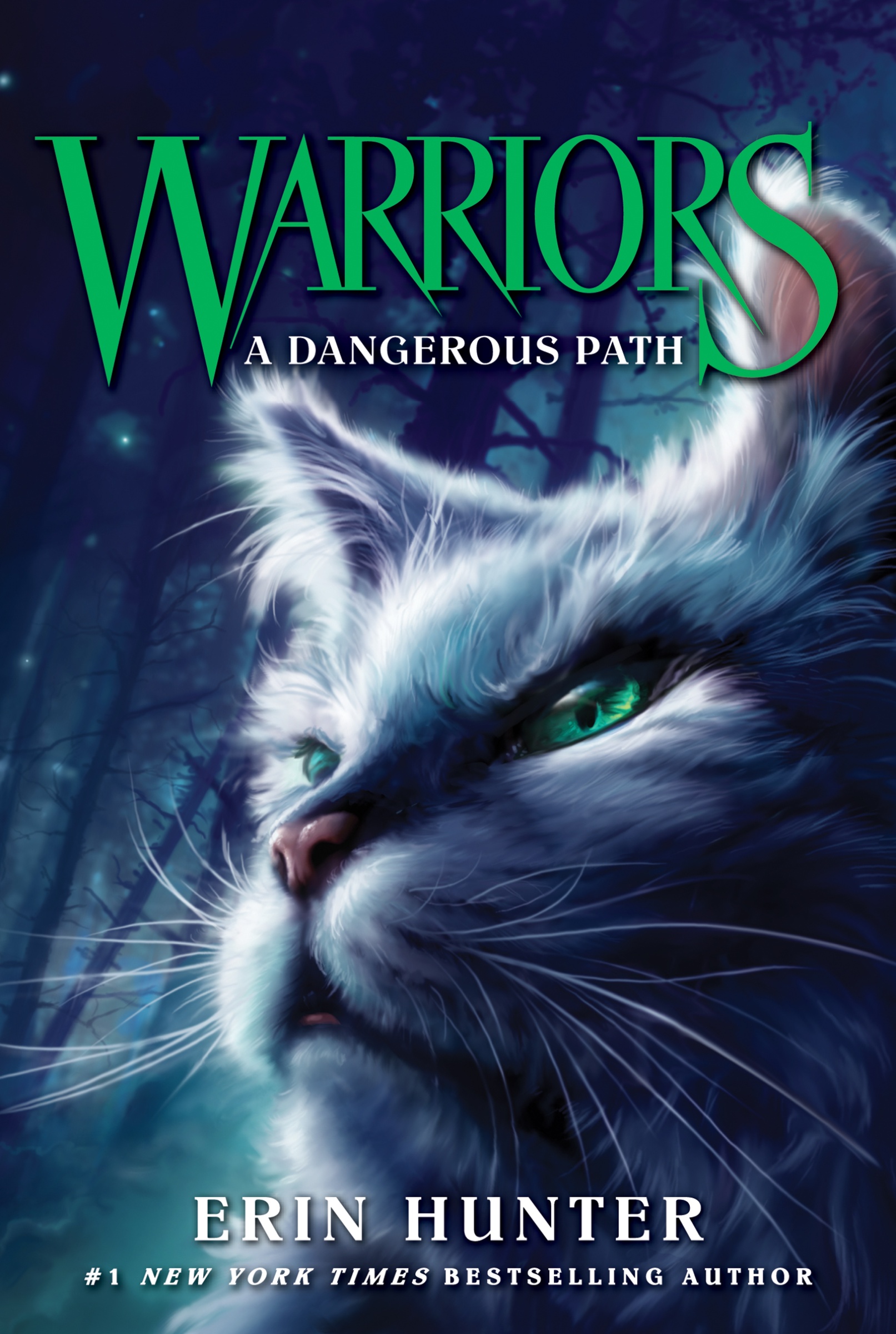 Warriors #5: a Dangerous Path by Erin Hunter