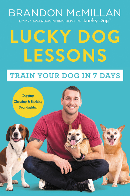 Lucky Dog Lessons by Brandon McMillan