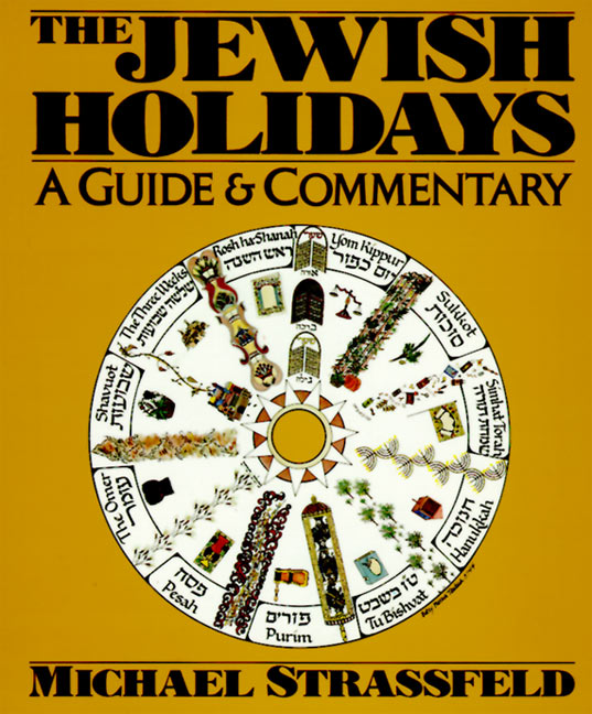 Jewish Holidays by Michael Strassfeld