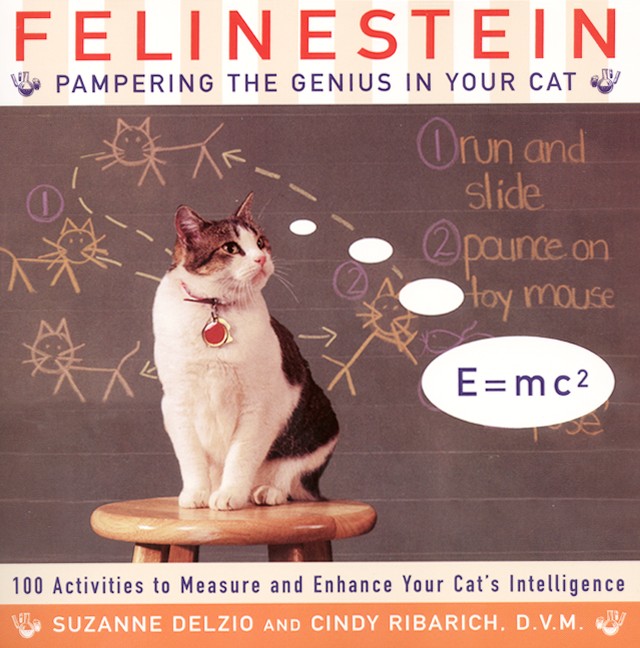 Felinestein by Cindy Ribarich