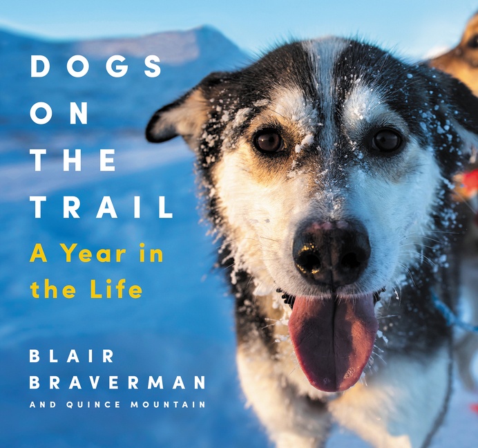 Dogs on the Trail by Blair Braverman