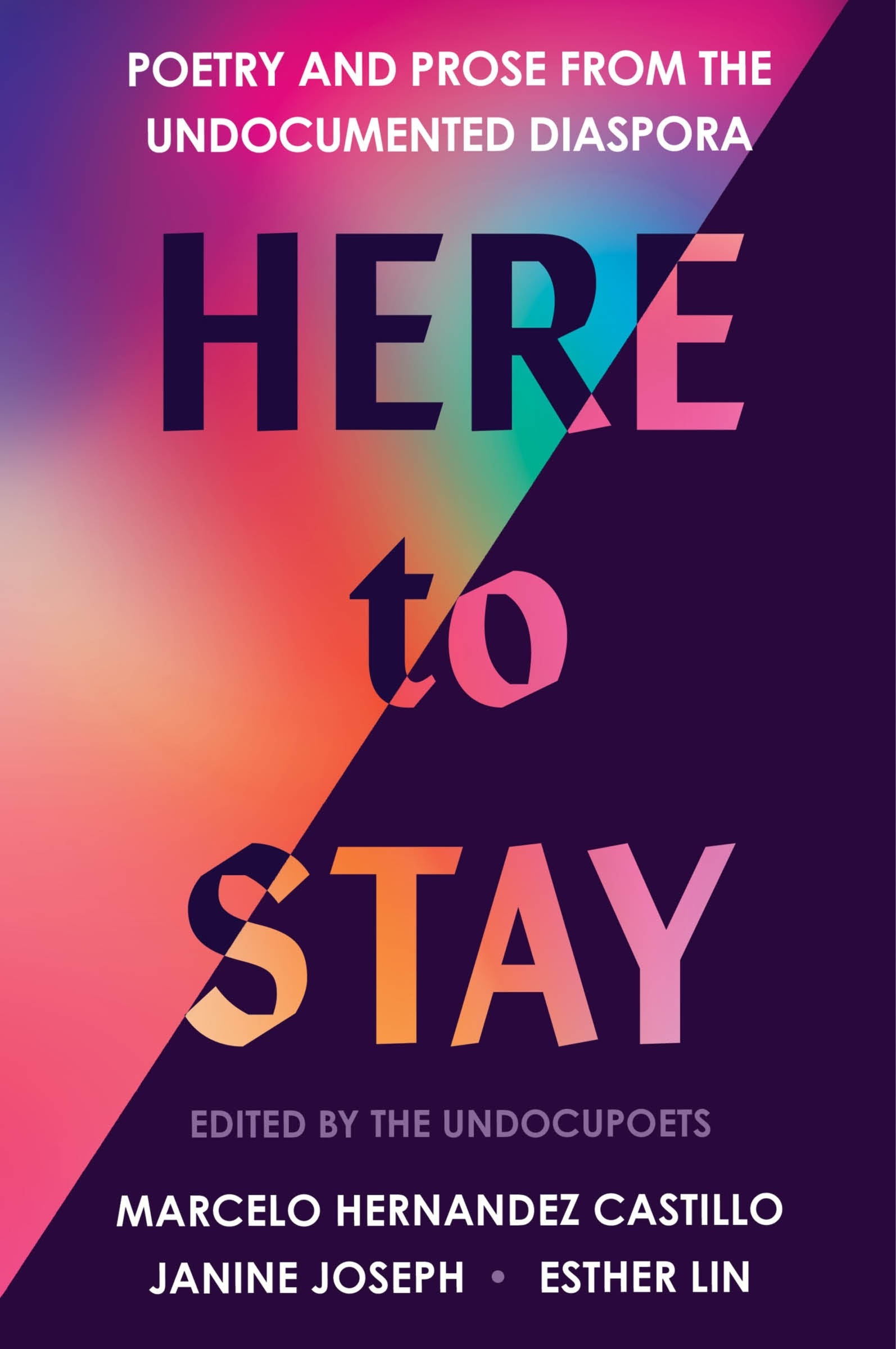 Here to Stay by Marcelo Hernandez Castillo