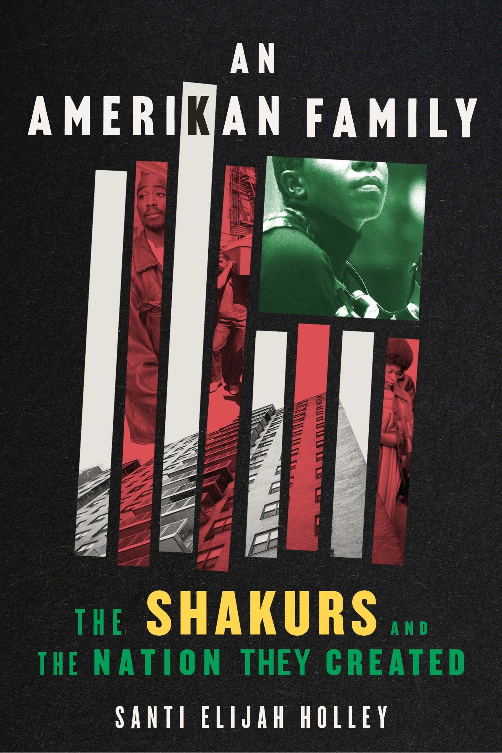 An Amerikan Family by Santi Elijah Holley