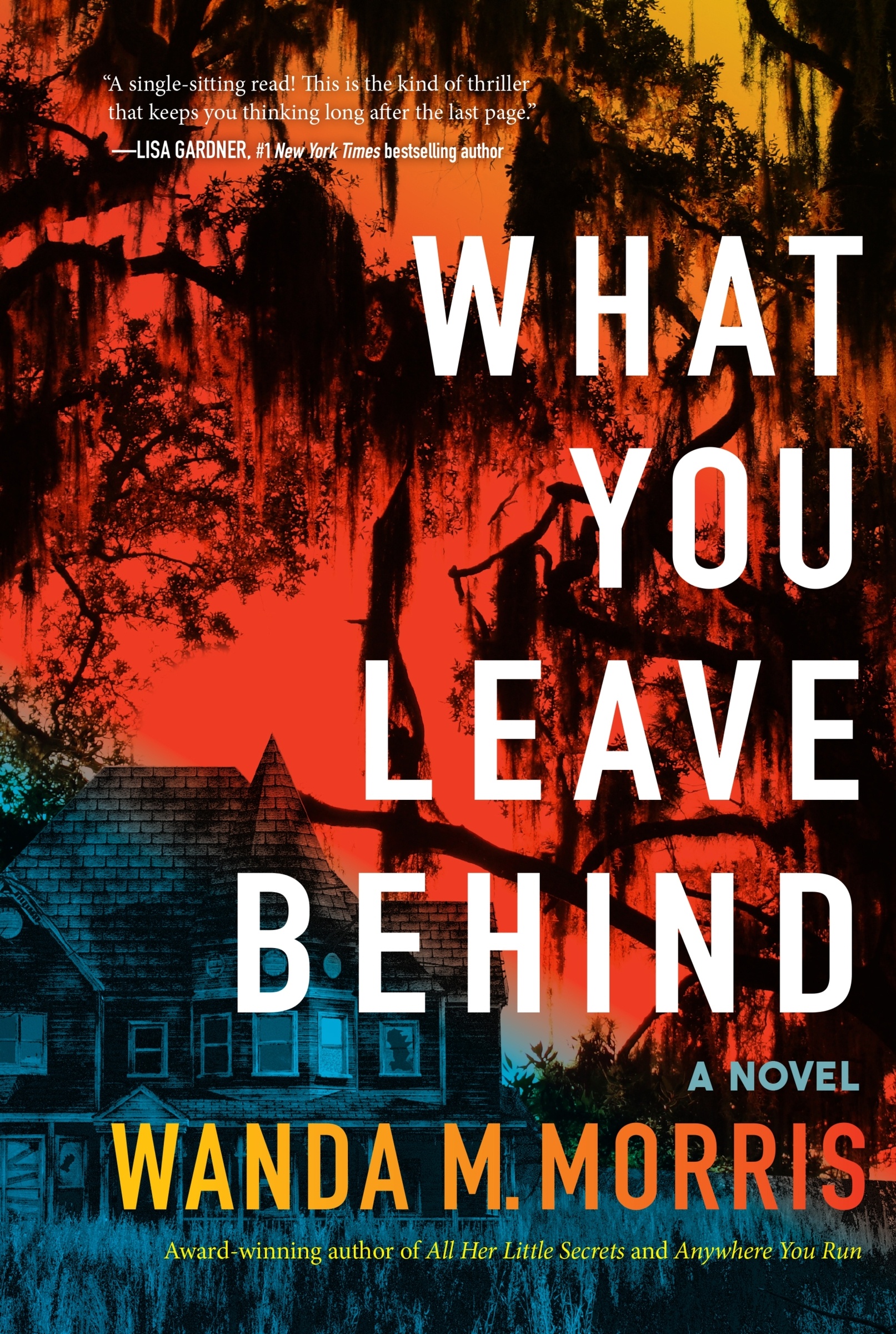 What You Leave Behind by Wanda M. Morris