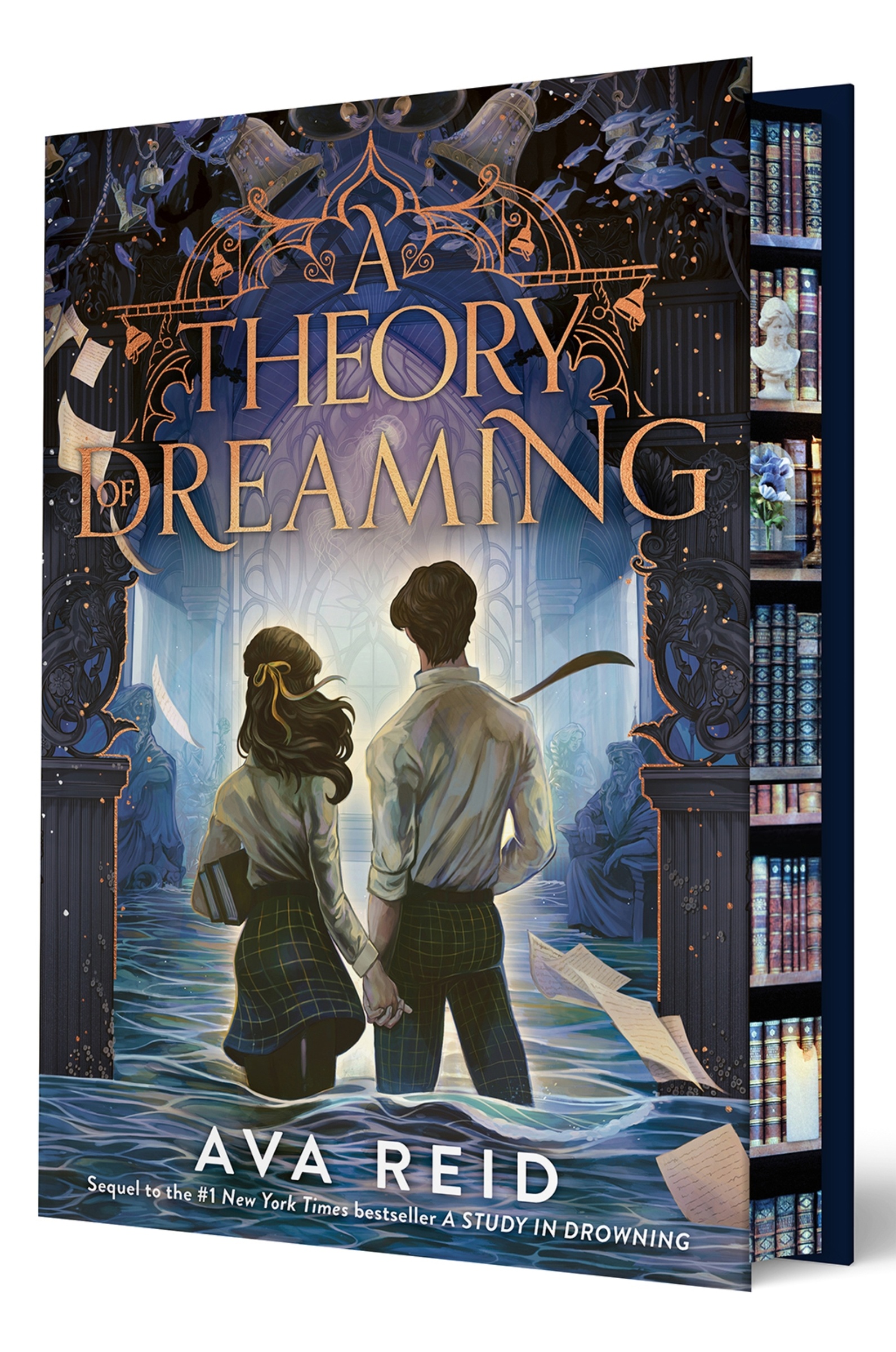 A Theory of Dreaming Deluxe Limited Edition by Ava Reid