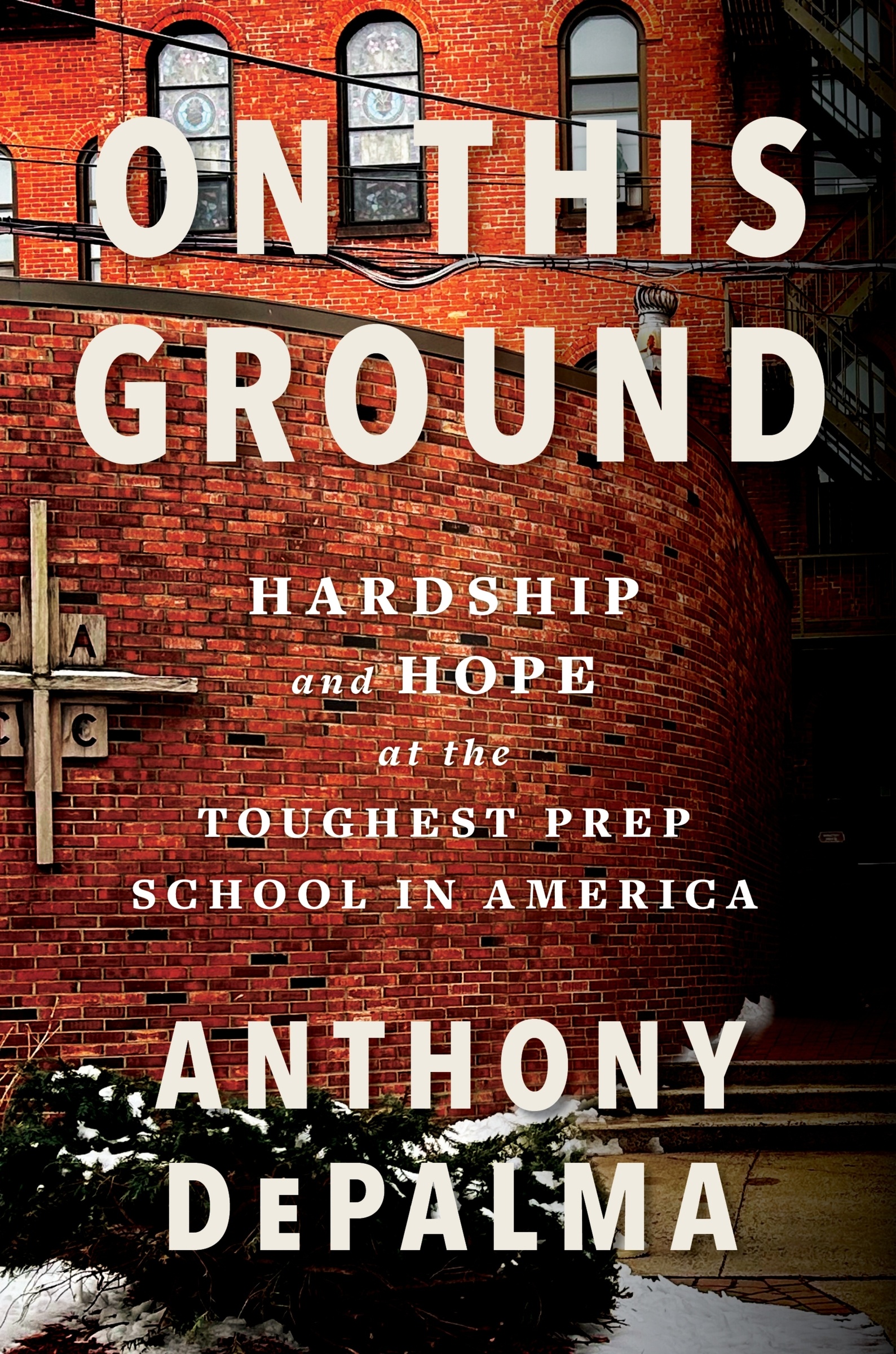On This Ground by Anthony DePalma