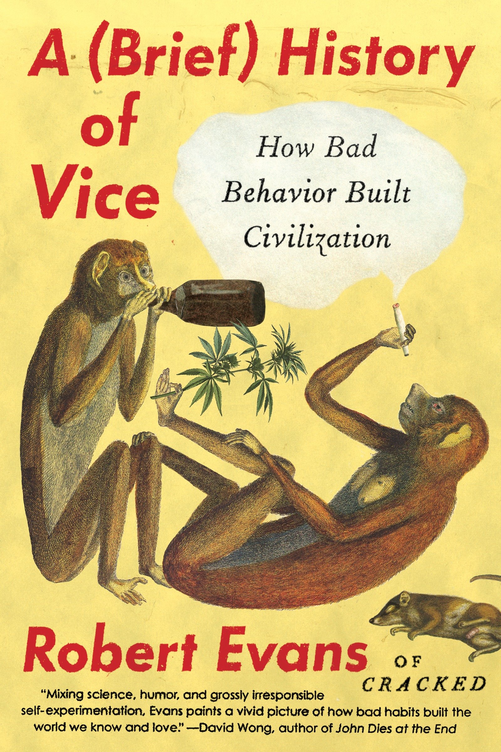 A Brief History of Vice by Robert Evans