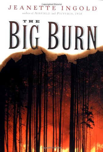 The Big Burn by Jeanette Ingold
