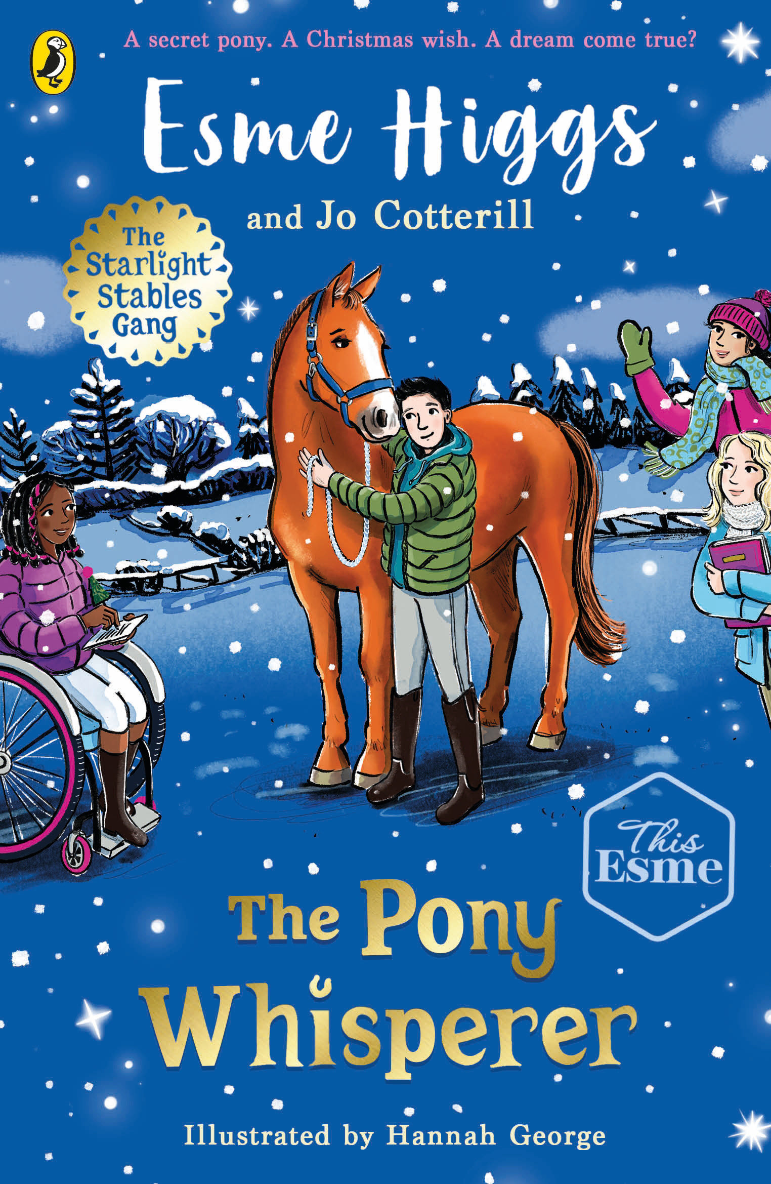 The Pony Whisperer by Esme Higgs