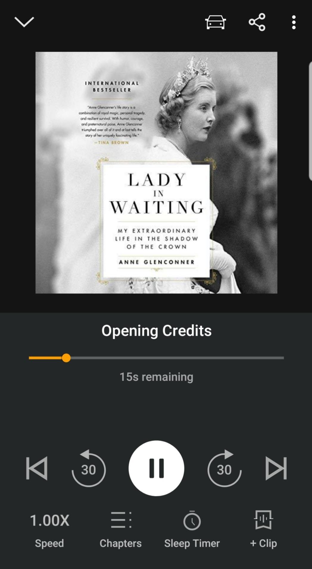 Lady in Waiting by Anne Glenconner