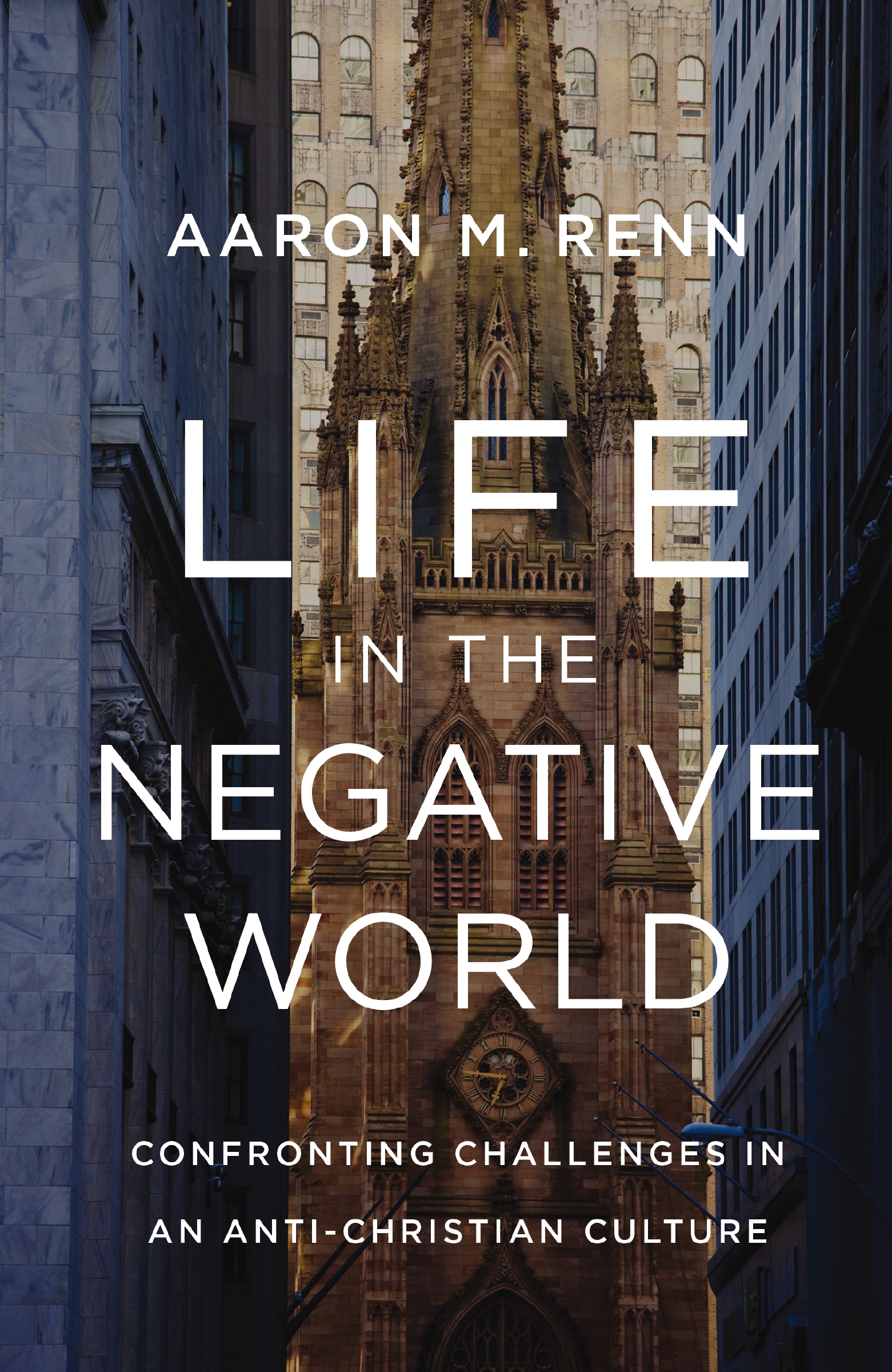 Life in the Negative World by Aaron M. Renn