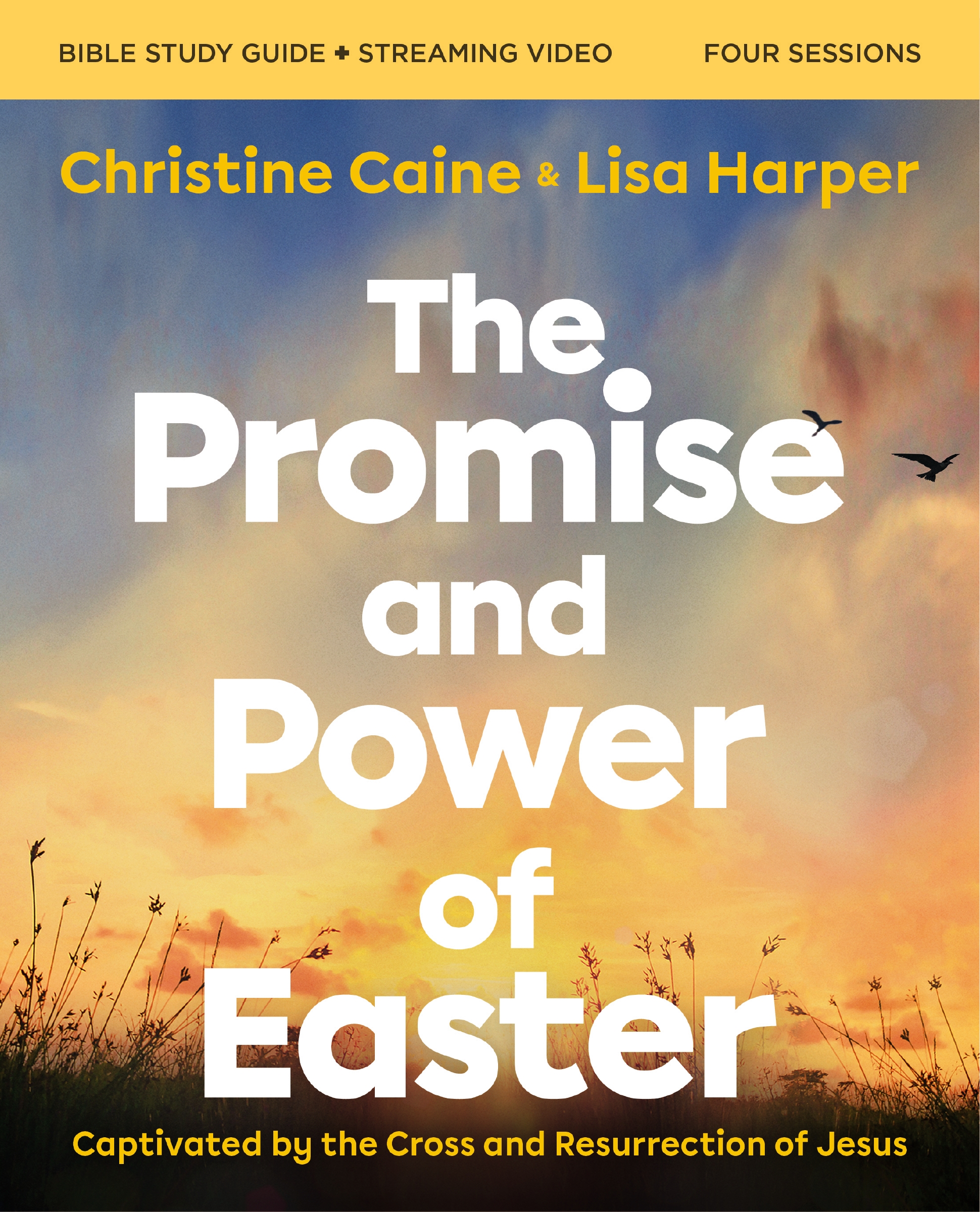 The Promise and Power of Easter Bible Study Guide Plus Streaming Video by Christine Caine