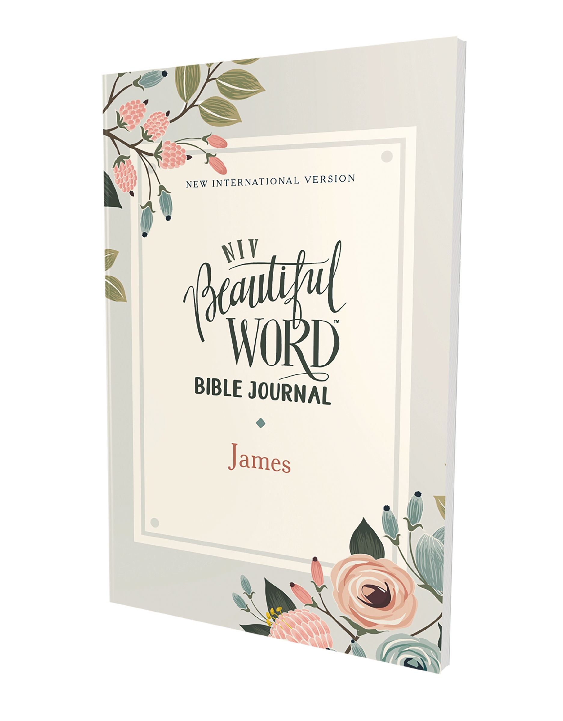 NIV, Beautiful Word Bible Journal, James, Paperback, Comfort Print by Zondervan