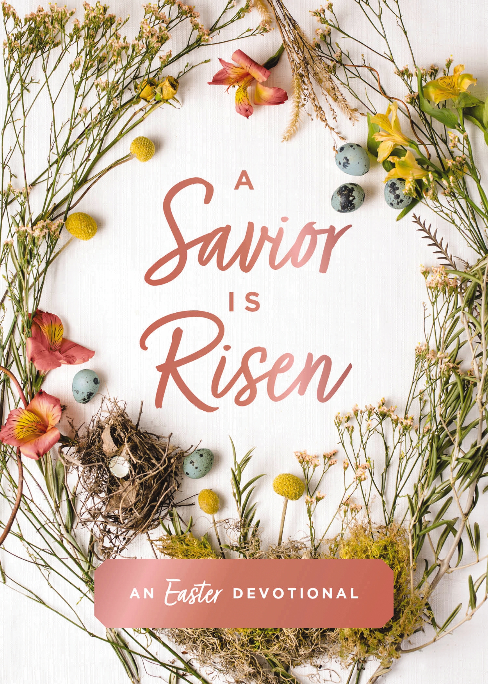 A Savior Is Risen cover