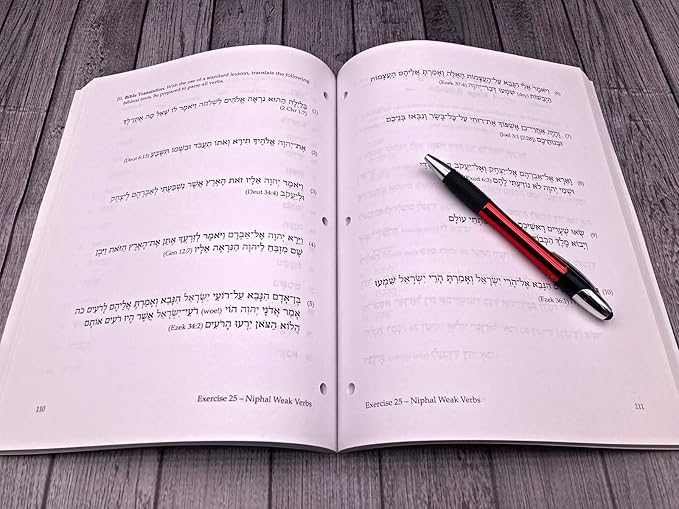 Basics of Biblical Hebrew Workbook by Gary D. Pratico