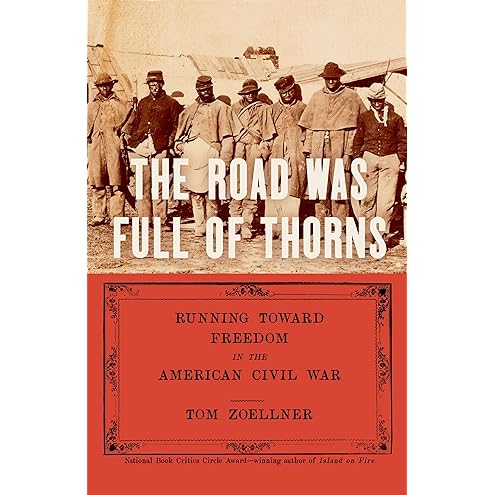 The Heartless Stone by Tom Zoellner