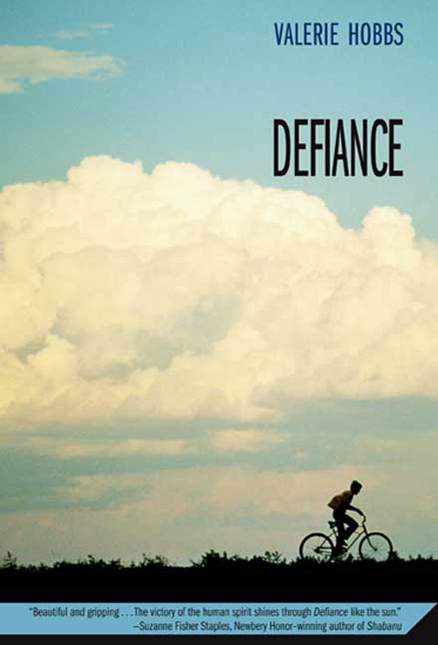 Defiance by Valerie Hobbs