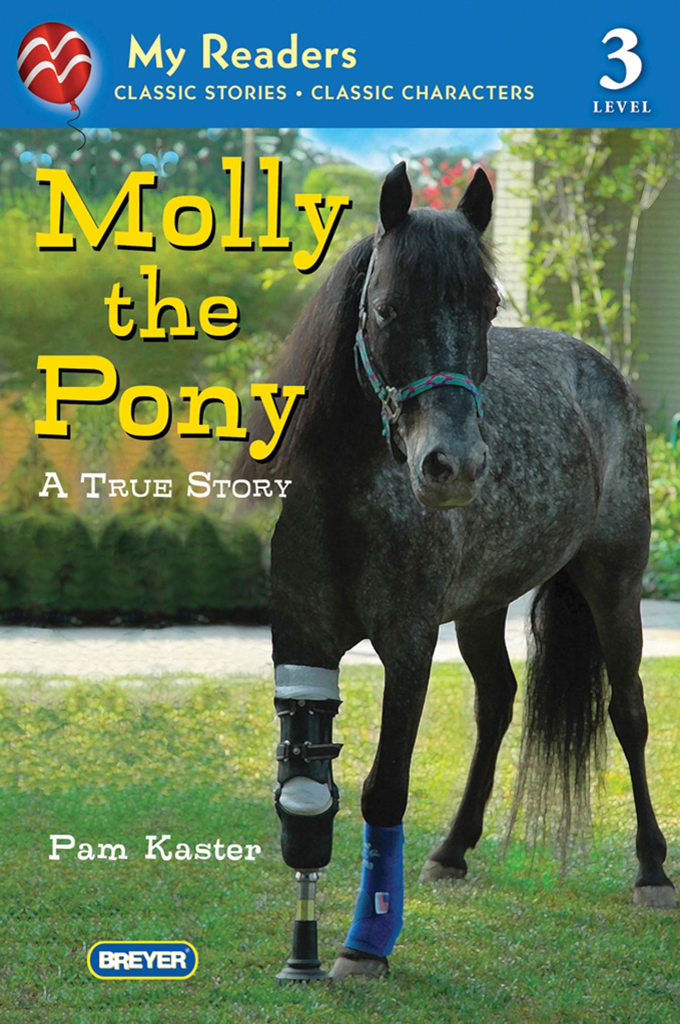 Molly the Pony by Pam Kaster