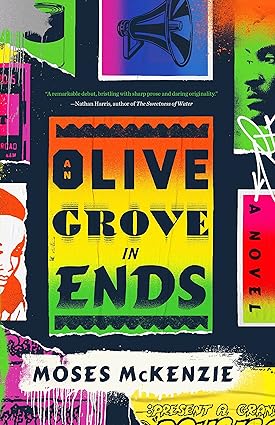 An Olive Grove in Ends by Moses McKenzie