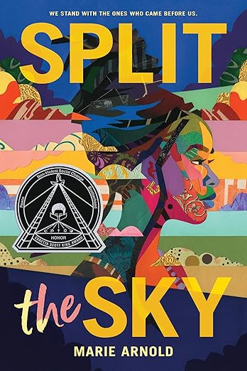 Split the Sky (coretta Scott King Author Honor Title) by Marie Arnold