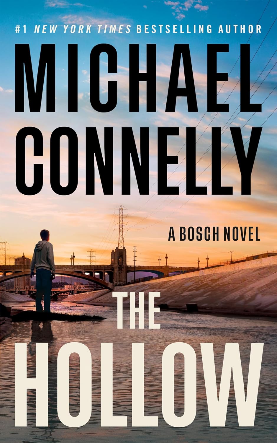 The Hollow by Michael Connelly