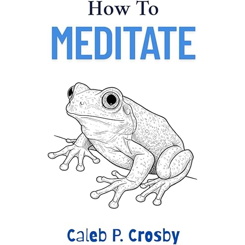 How to Meditate