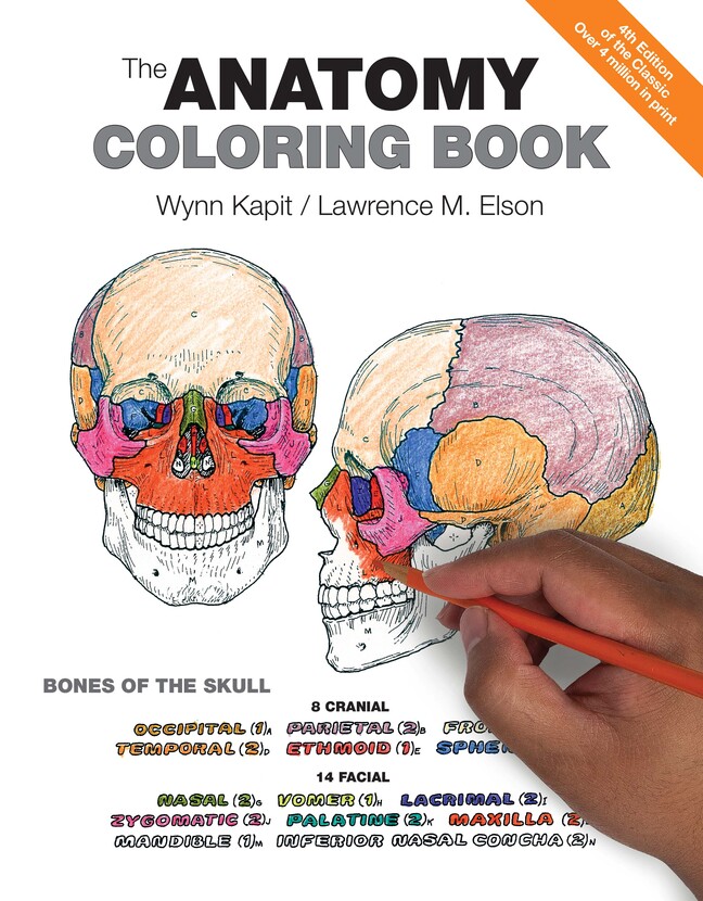 Anatomy Coloring Book, the by Wynn Kapit