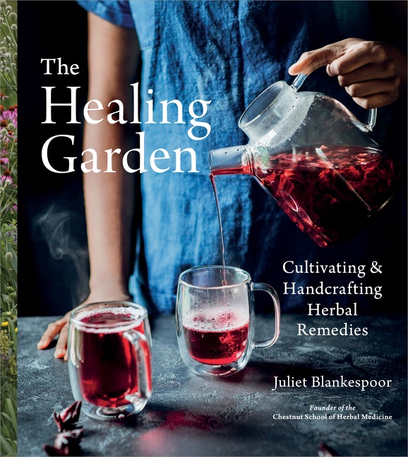 The Healing Garden by Juliet Blankespoor