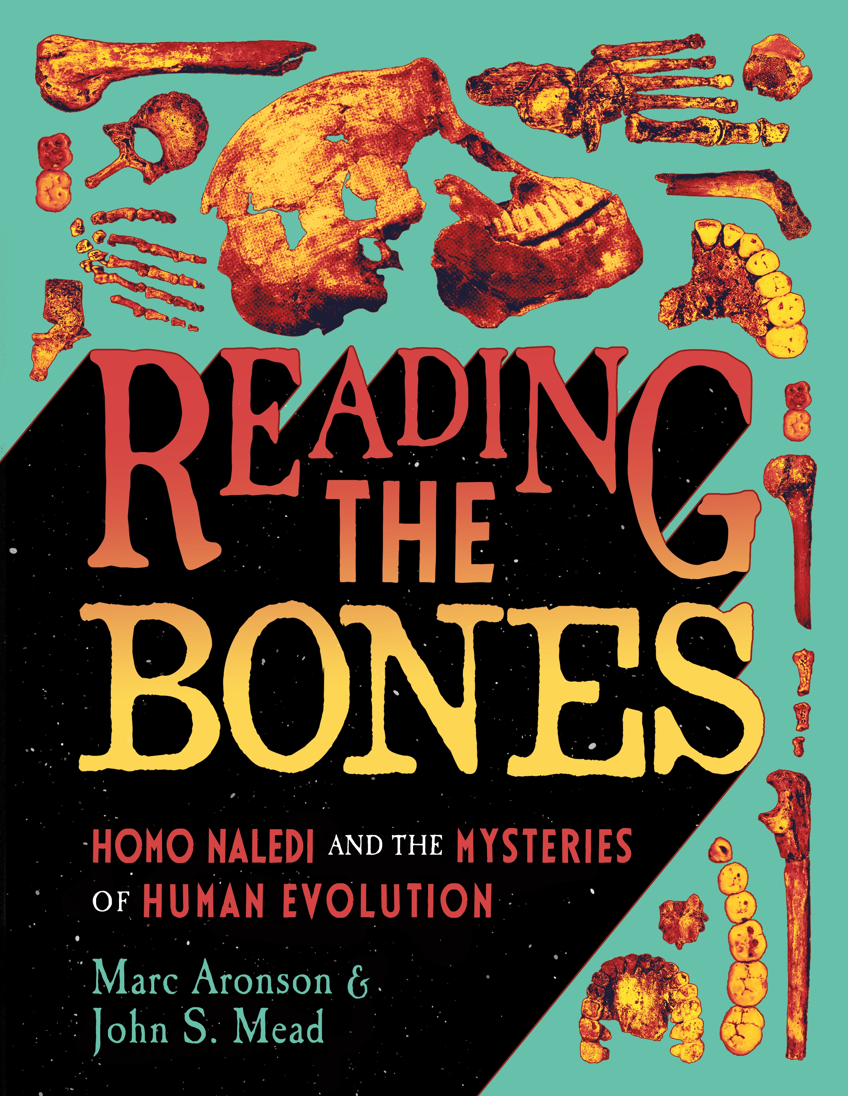 Reading the Bones by Marc Aronson