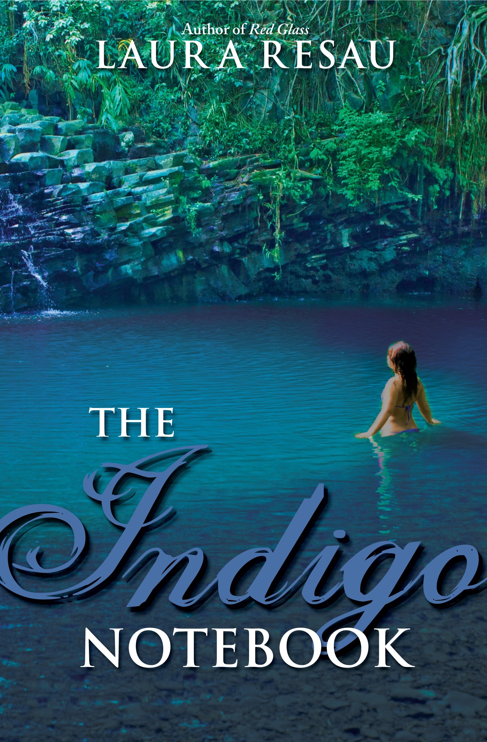 The Indigo Notebook by Justine Eyre
