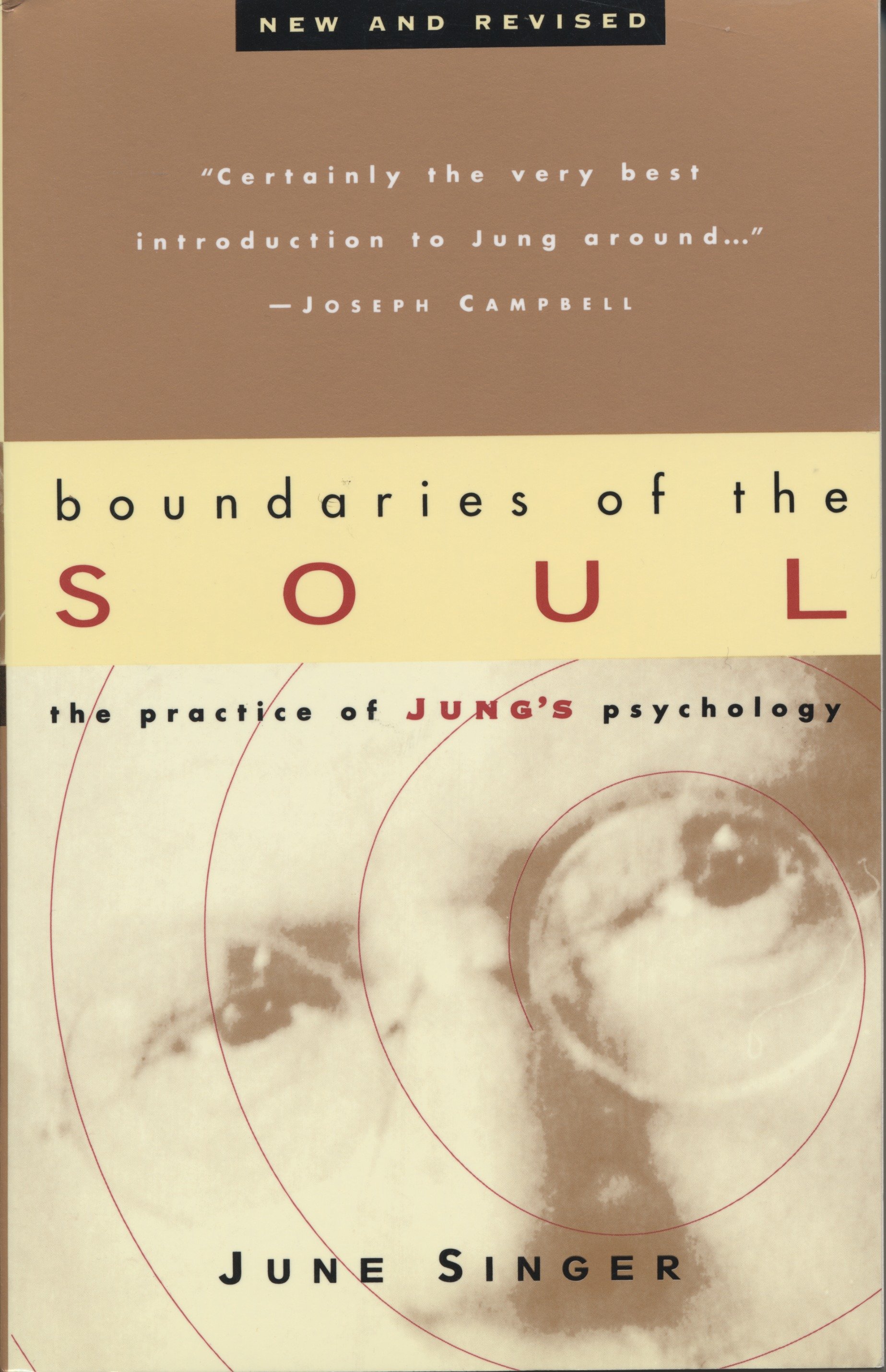 Boundaries of the Soul by June Singer