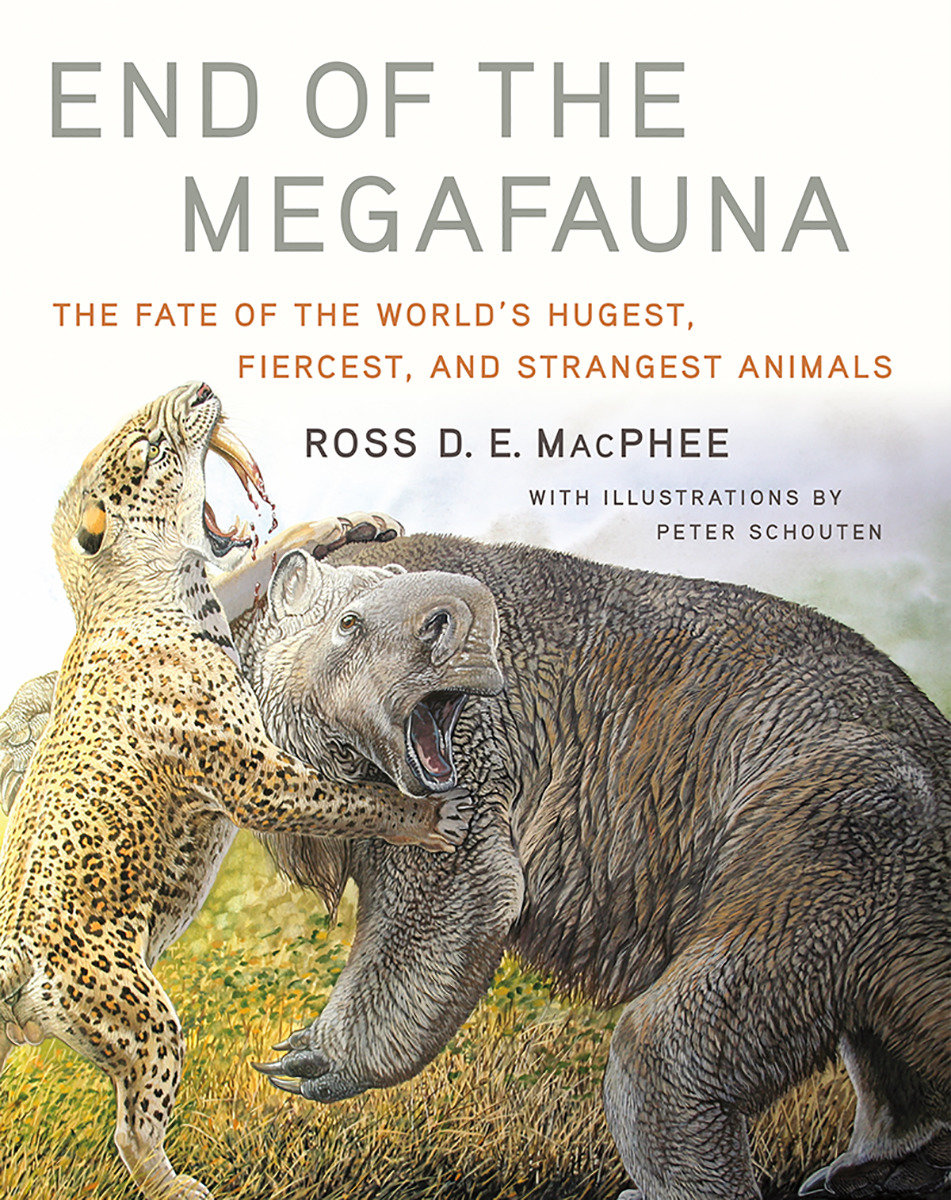 End of the Megafauna by Ross D E MacPhee