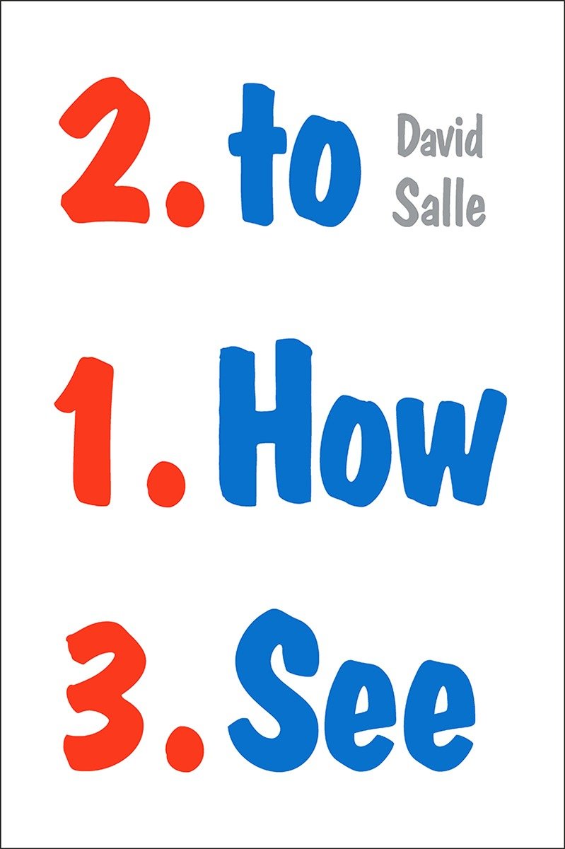 How to See by David Salle