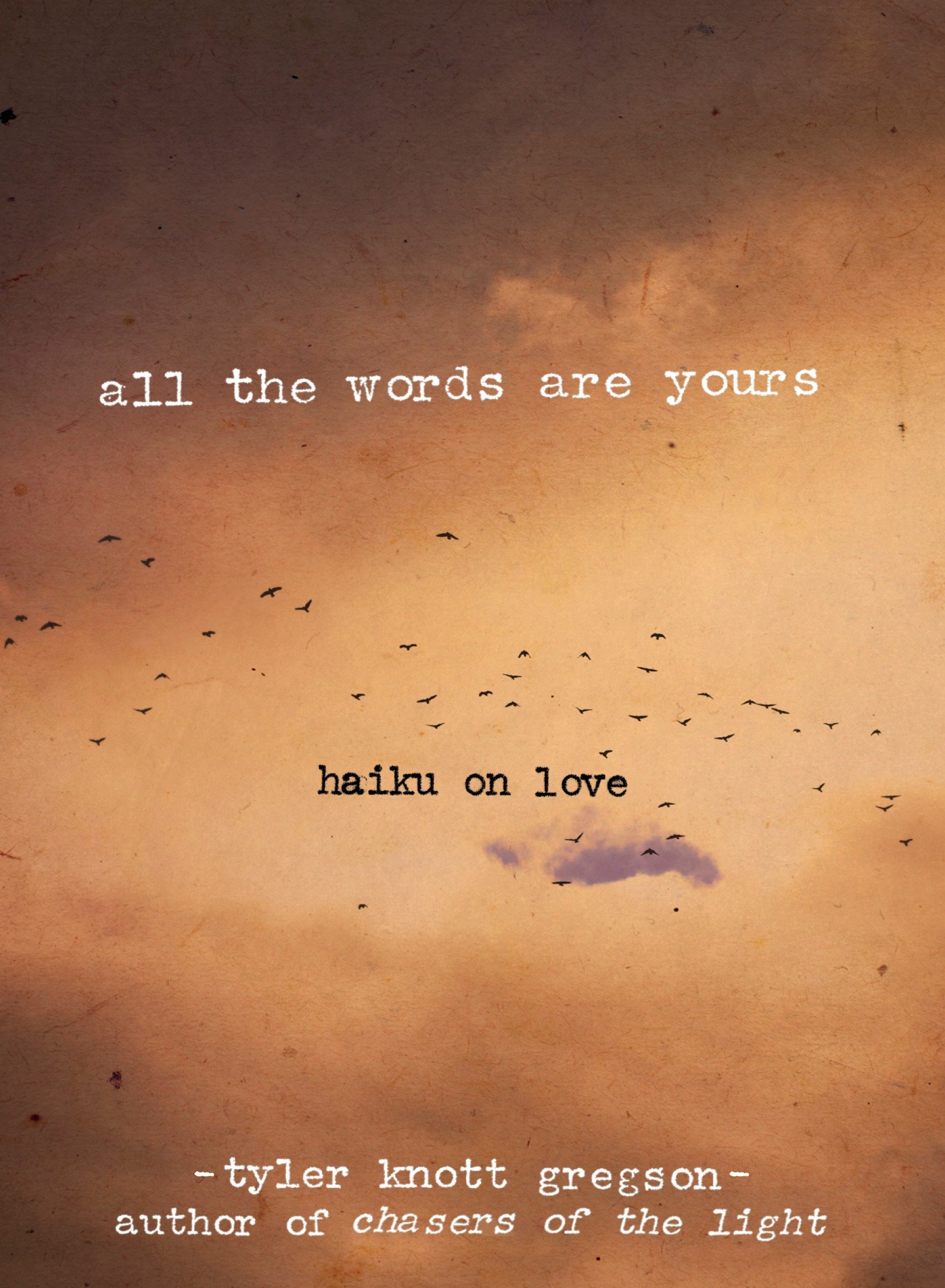 All the Words Are Yours by Tyler Knott Gregson