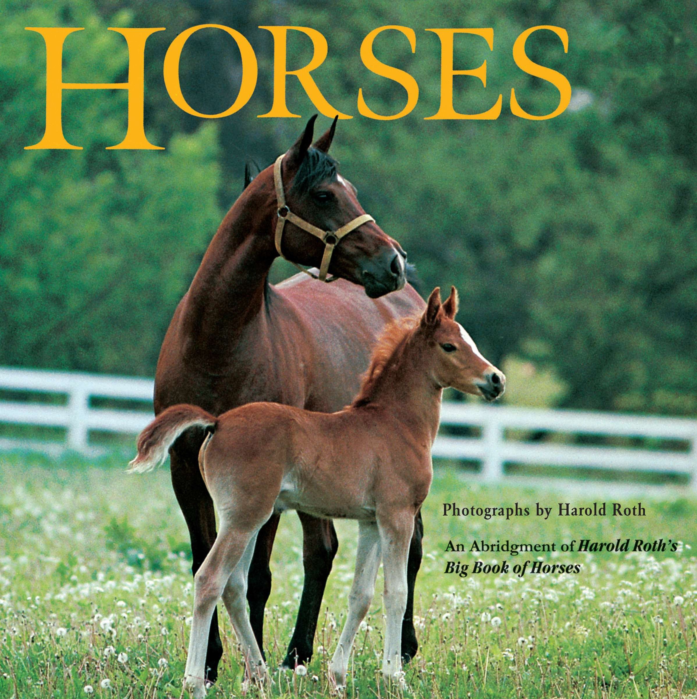 Horses by Laura Driscoll