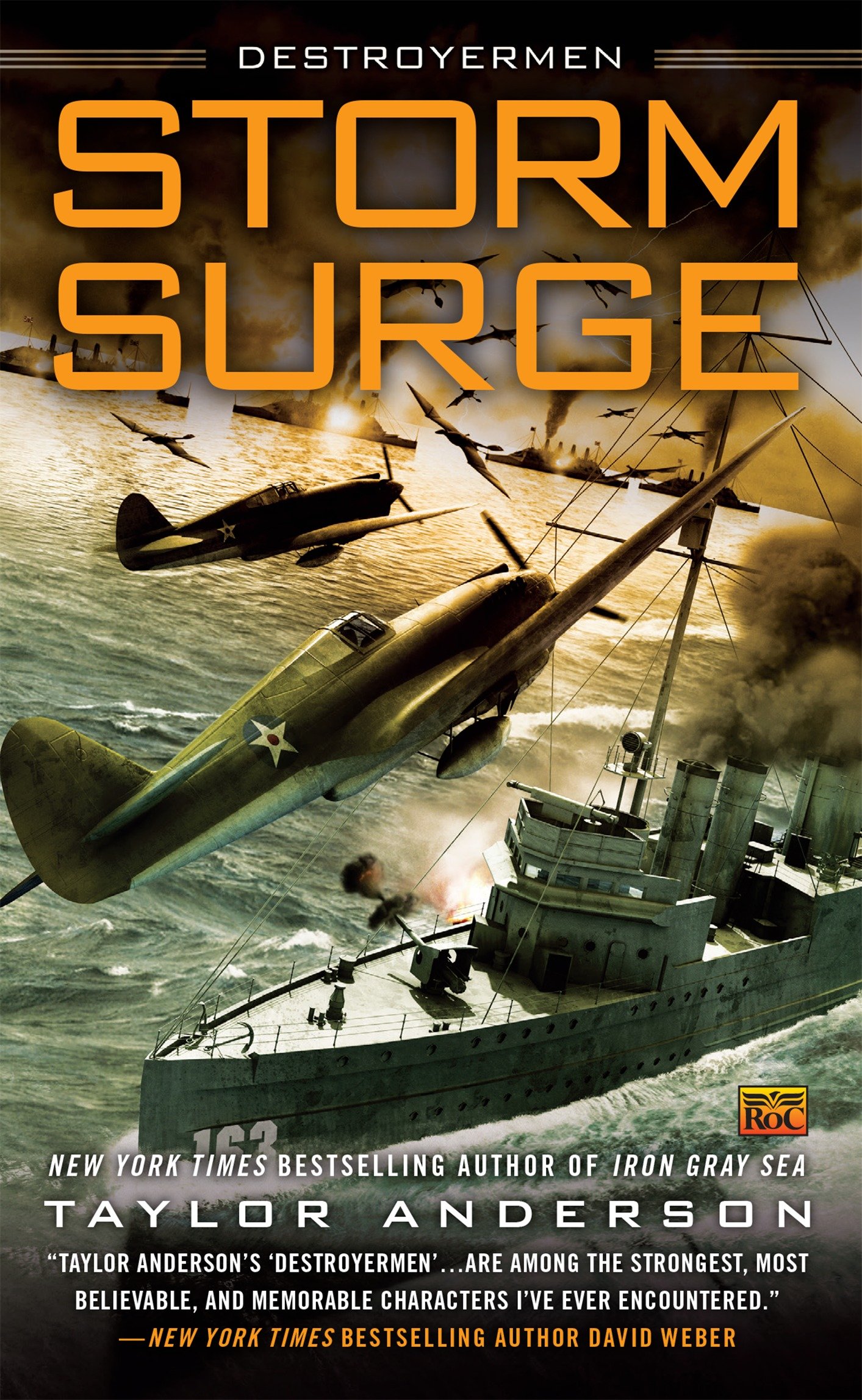 Storm Surge by Taylor Anderson