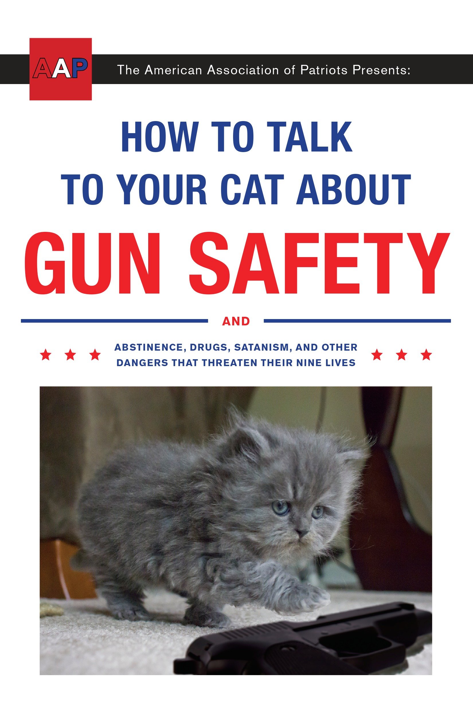 How to Talk to Your Cat About Gun Safety by Zachary Auburn