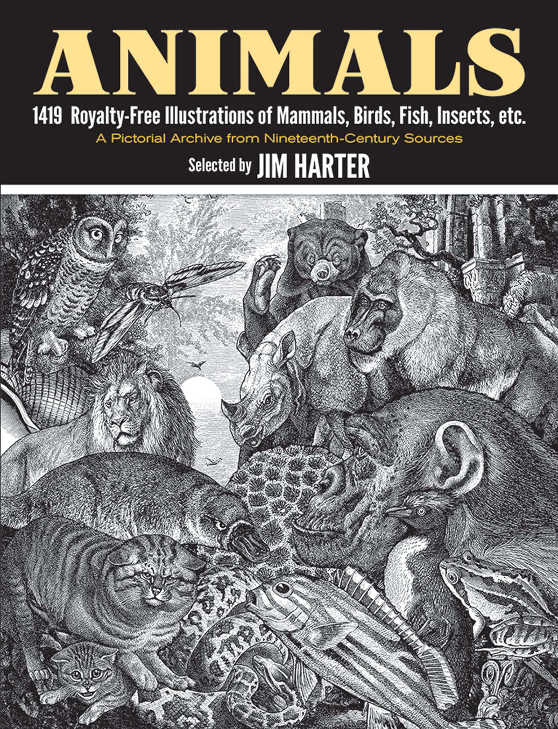 Animals by Jim Harter