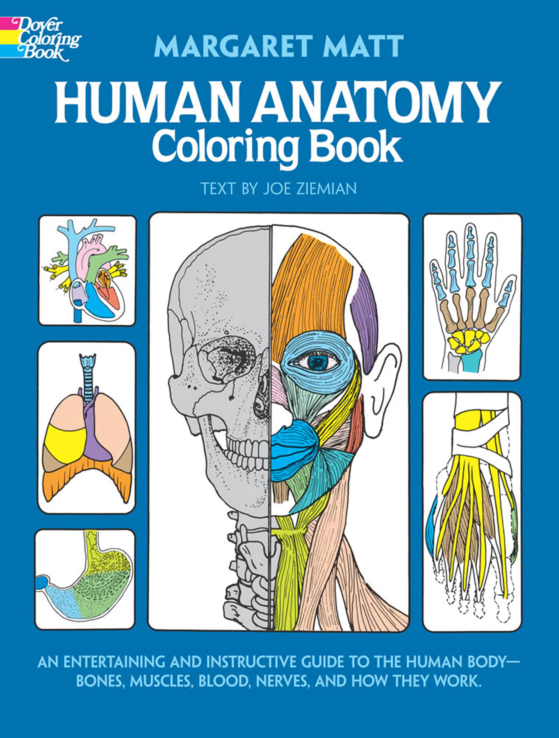 Human Anatomy Coloring Book: an Entertaining and Instructive Guide to the Human Body - Bones, Muscles, Blood, Nerves, and How They Work by Margaret Matt