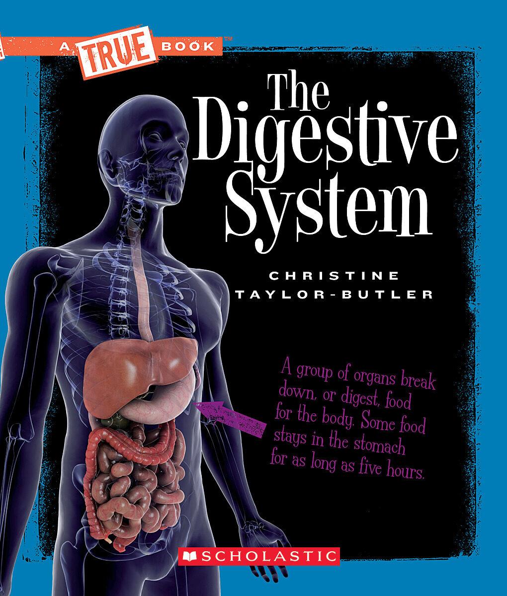 The Digestive System by Christine Taylor-Butler