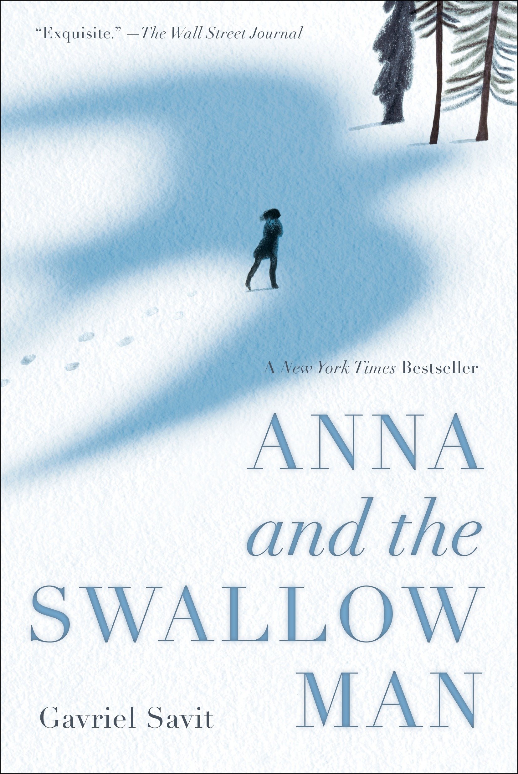 Anna and the Swallow Man by Allan Corduner