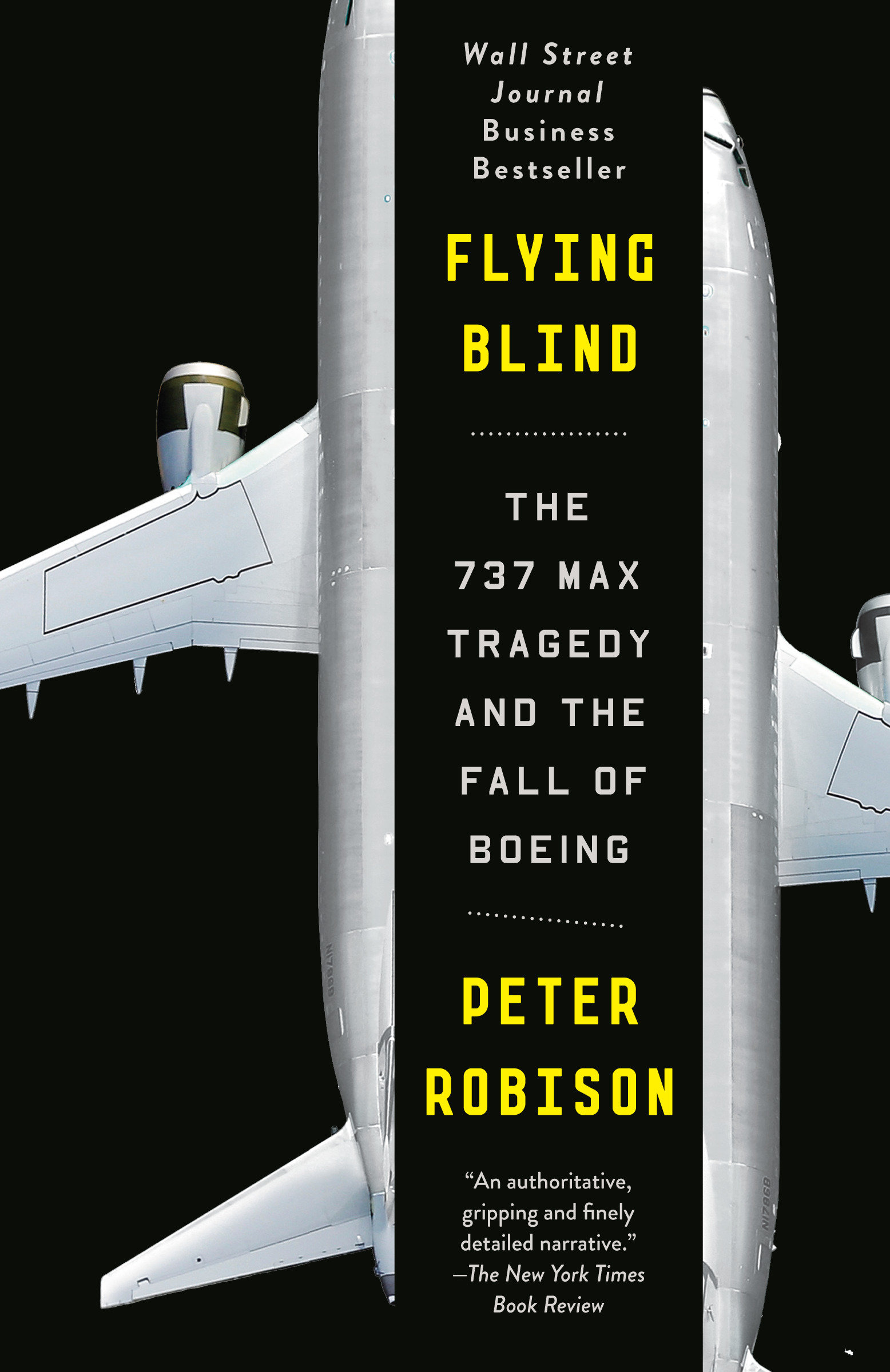 Flying Blind by Feodor Chin