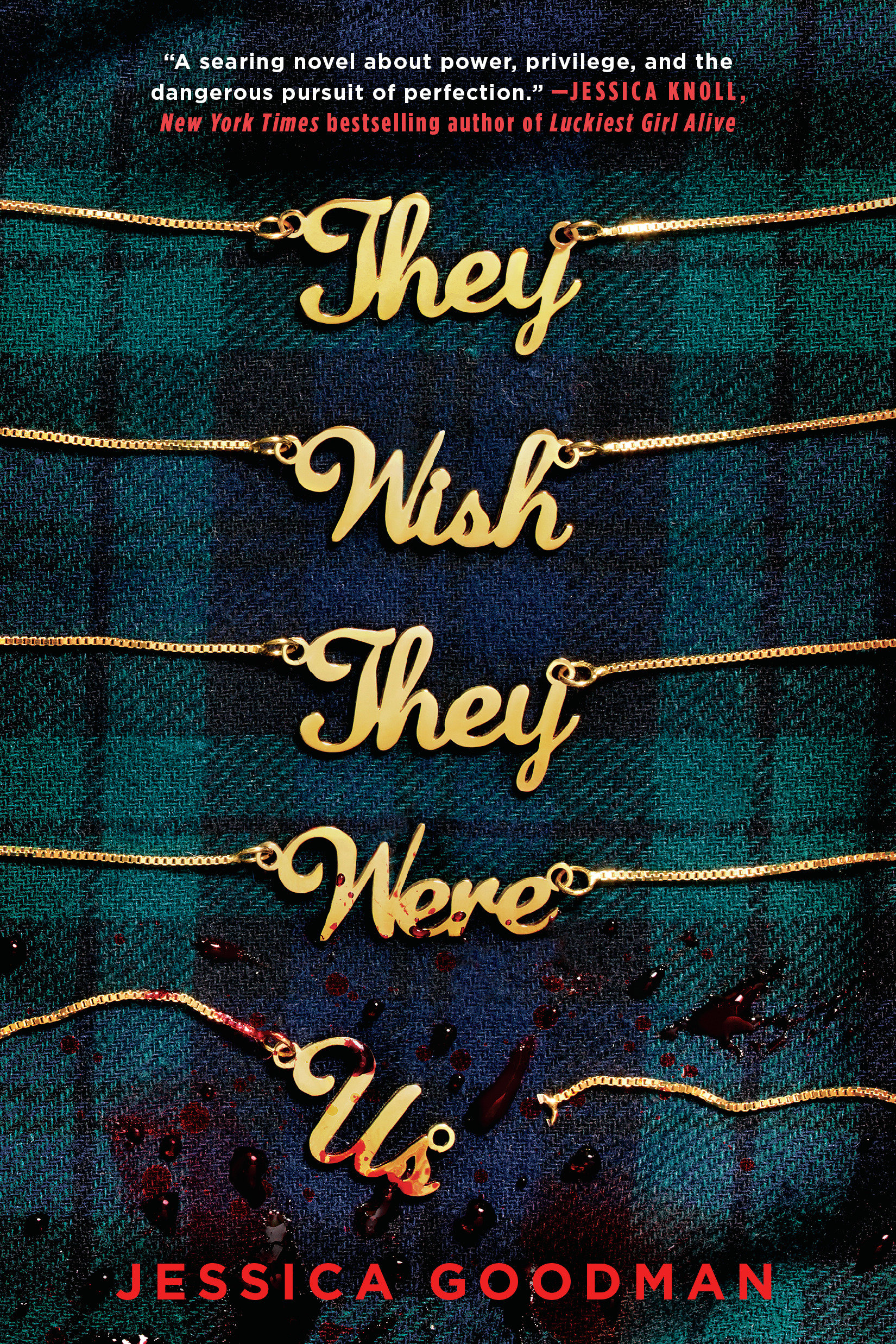 They Wish They Were US by Jessica Goodman