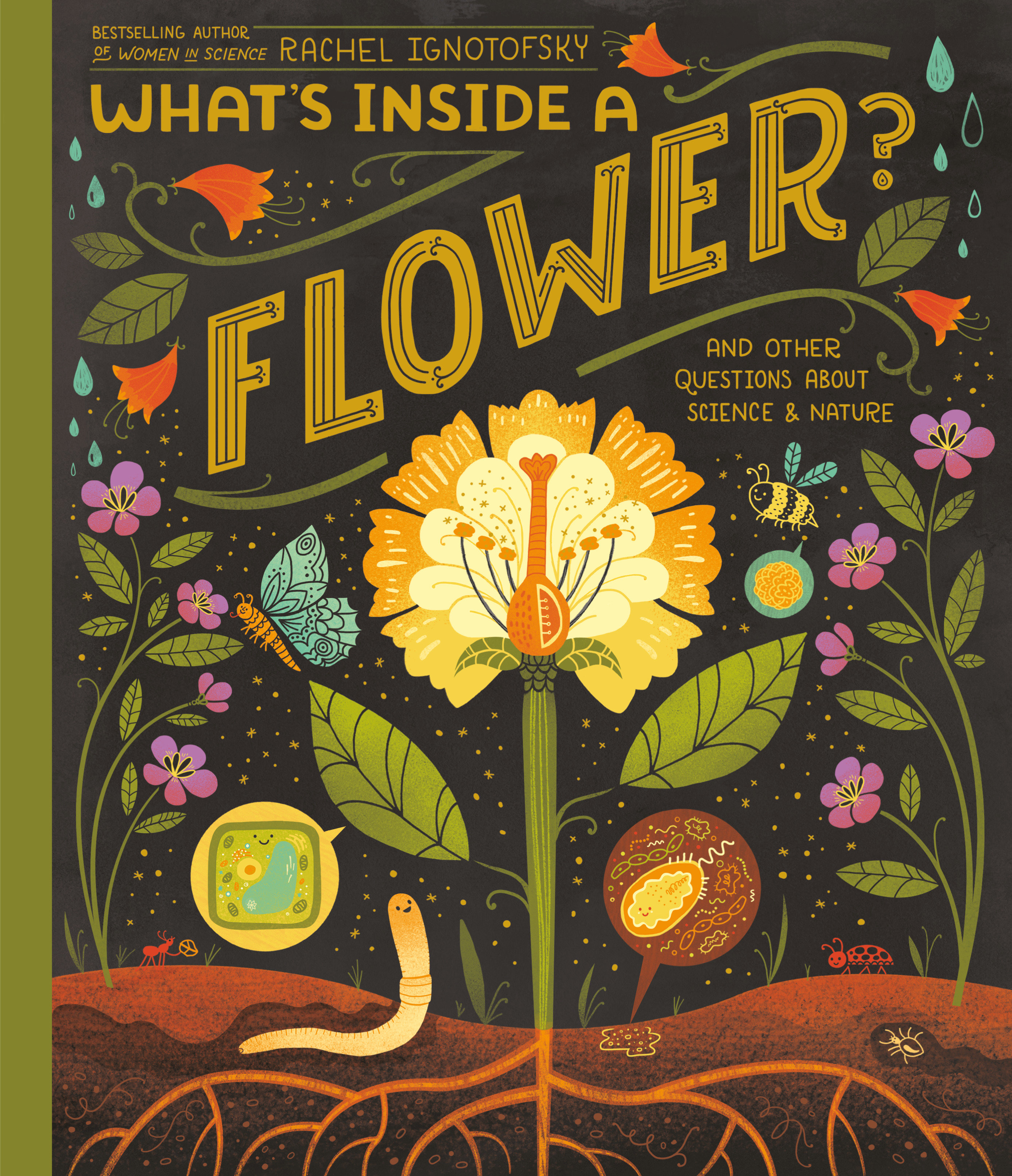 What's Inside a Flower? by Rachel Ignotofsky