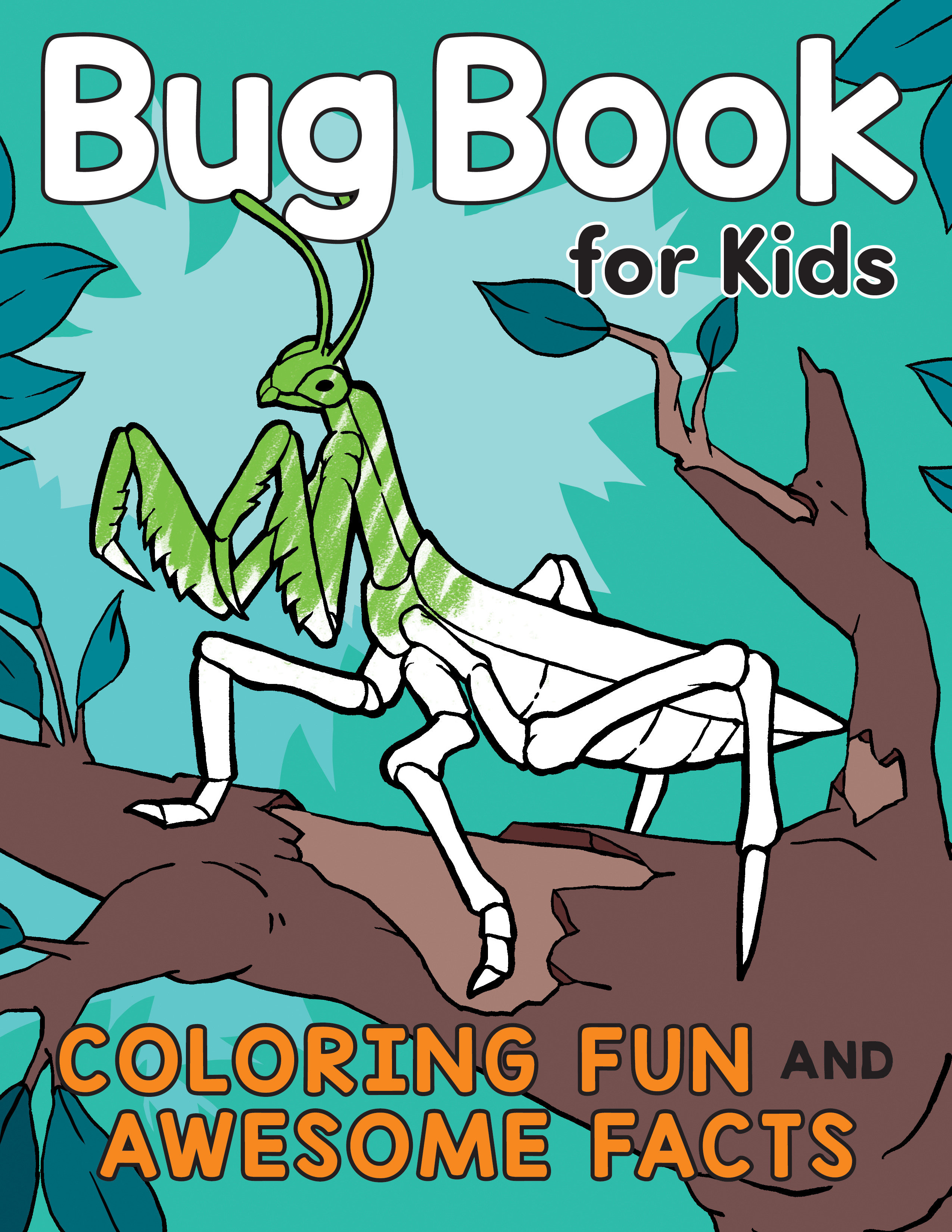 Bug Book for Kids by Katie Henries-Meisner